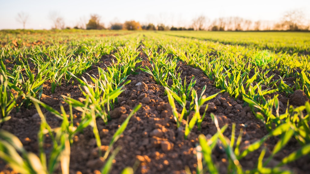 Advanced Water Management Strategies for Sustainable Agriculture